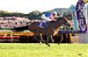 Tenno Sho (Autumn) (G1)