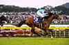 Tenno Sho (Autumn) (G1)