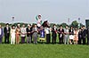 Victoria Mile