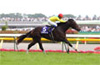 2008 Yasuda Kinen (G1)