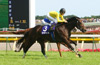 2009 Yasuda Kinen (G1)