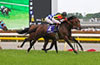2012 Yasuda Kinen (G1)