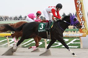 Kafuji Take in the 2017 Negishi Stakes