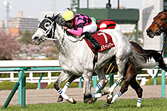Smart Layer in the 2016 Hanshin Himba Stakes