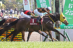 Mozu Katchan in the 2017 Flora Stakes