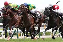 Satono Chronicle in the 2017 Shirayuri Stakes