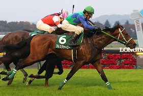 Bless Journey in the 2016 Tokyo Sports Hai Nisai Stakes