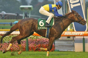 Air Spinel in the 2017 Fuji Stakes