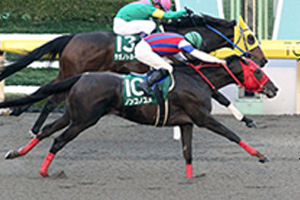Nonkono Yume in the 2015 Musashino Stakes