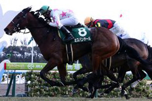 Miss Panthere in the 2018 Kyoto Himba Stakes