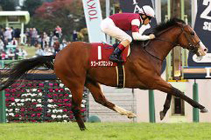 Tower of London in the 2017 Keio Hai Nisai Stakes