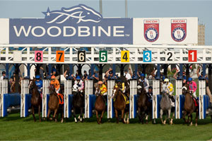 The Japan Racing Association and Woodbine Entertainment partner on race exchange