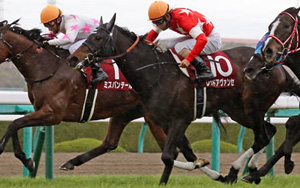Red Avancer in the 2018 Hanshin Himba Stakes