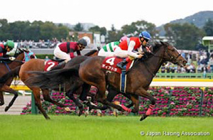 Deirdre in the 2018 Fuchu Himba Stakes