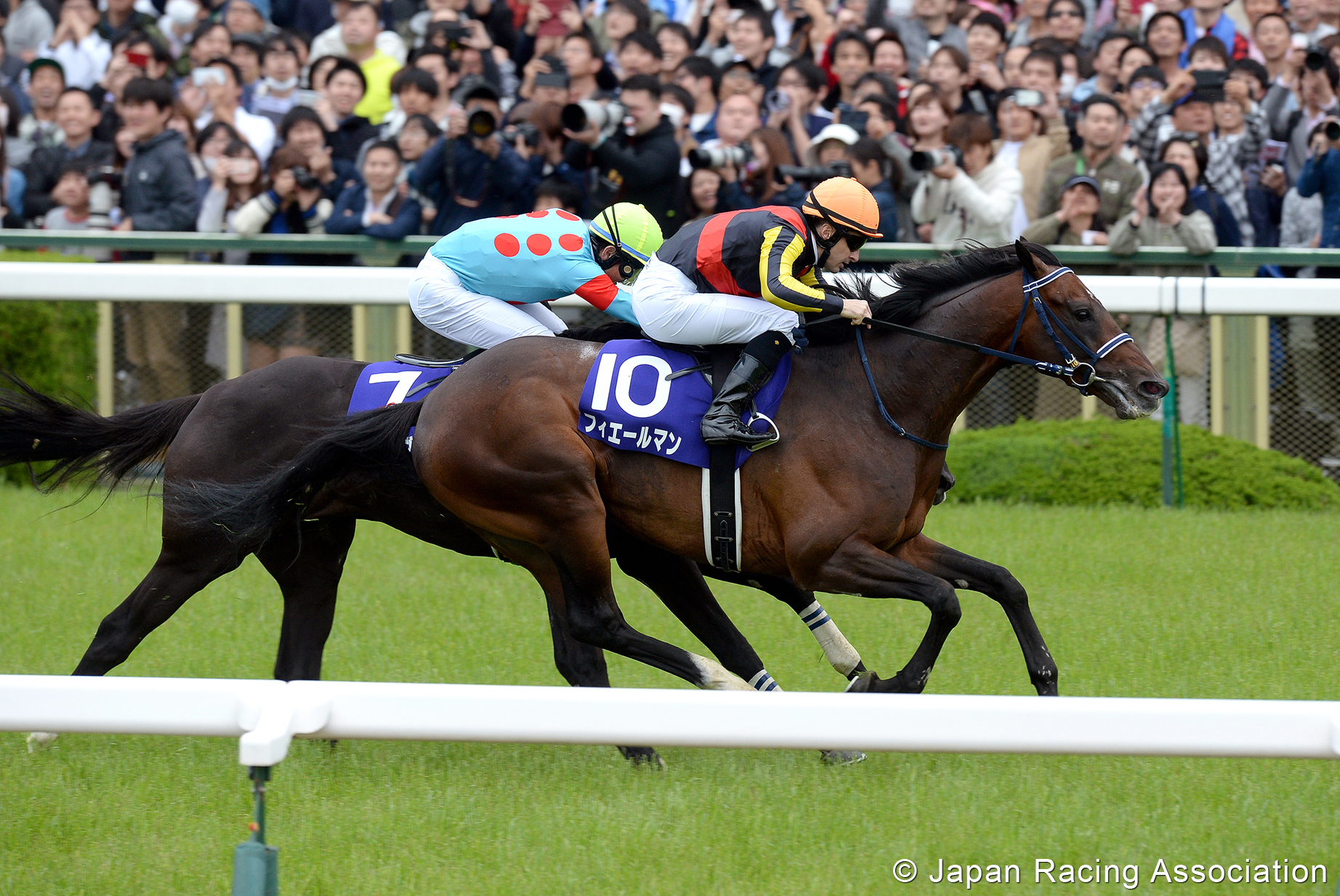 Tenno Sho (Spring) (G1) - Preview by Japan Racing Association - Peter