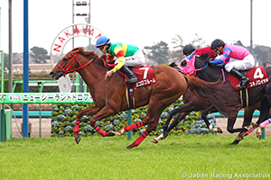 New Zealand Trophy (NHK Mile Cup Trial) (G2)