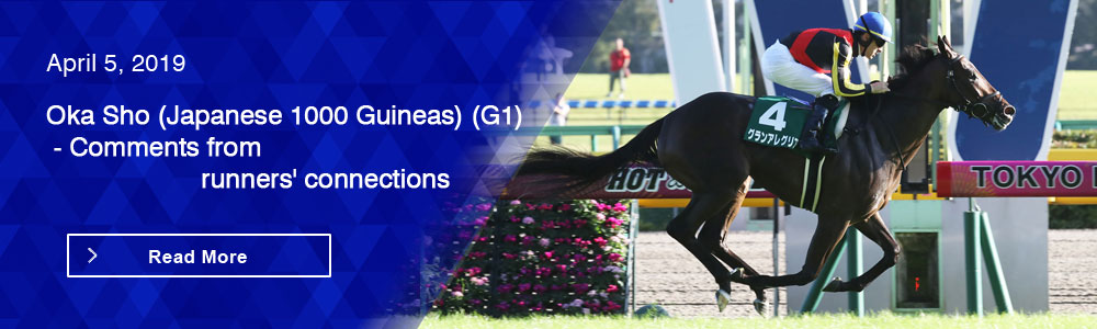 Oka Sho (Japanese 1000 Guineas) (G1) - Comments from runners' connections