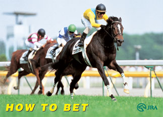 How to Bet (JRA)