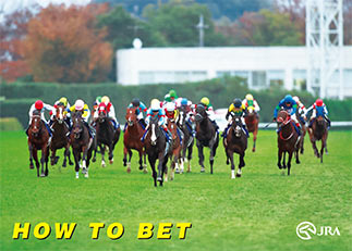 How to Bet (JRA)