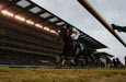 Japan Cup (International Invitational) (G1)
