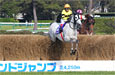 Nakayama Grand Jump (J-G1)