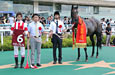Centaur Stakes (G2)