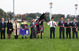 Tenno Sho (Autumn) (G1)