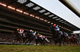 Japan Cup (International Invitational) (G1)