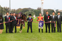 Tenno Sho (Autumn) (G1)