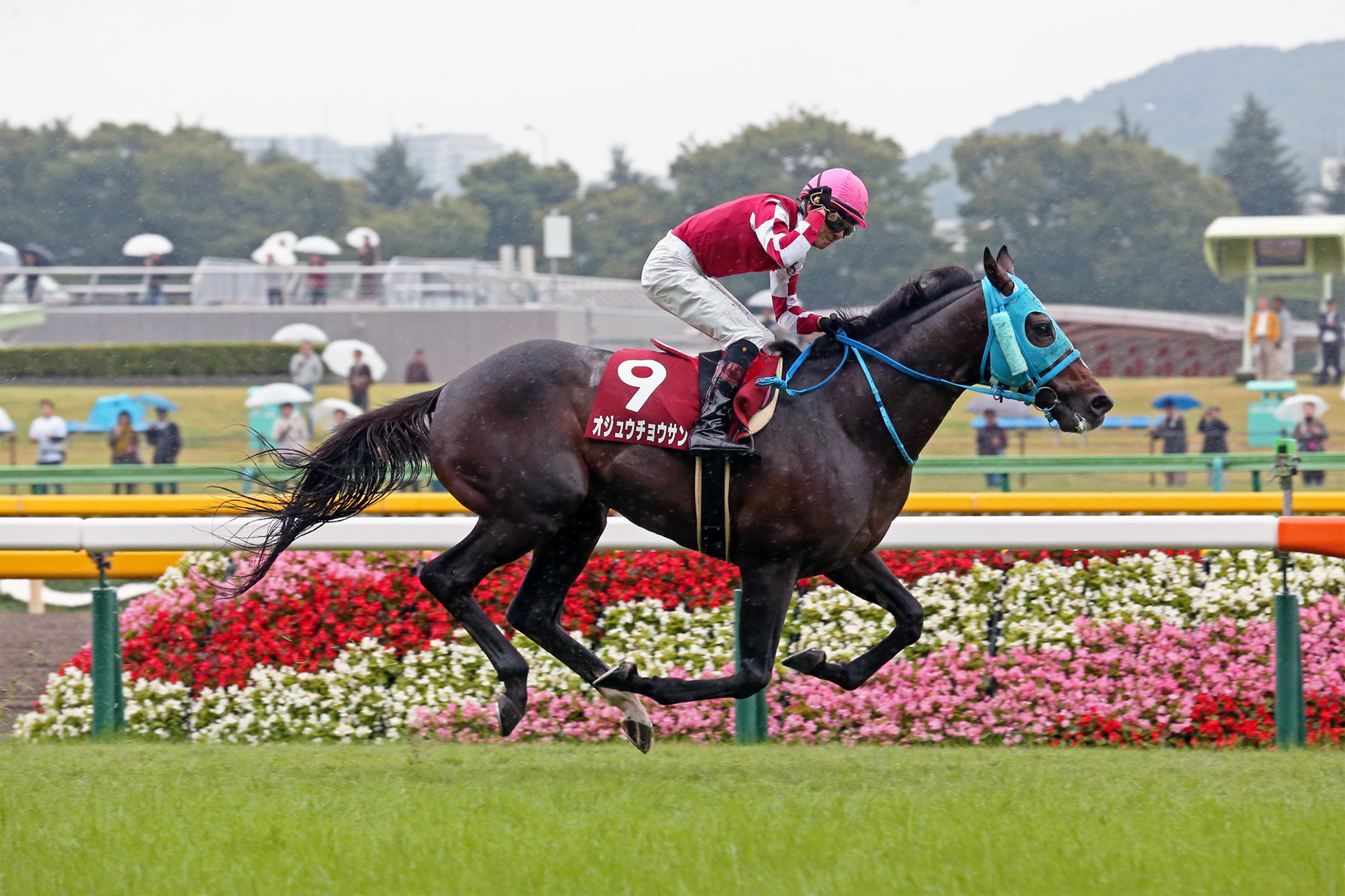 Japan racing queen nonchalantly places stiletto pictures
