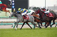 Fuji TV Sho Spring Stakes (Japanese 2000 Guineas Trial) (G2)