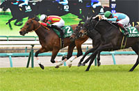 Lord Derby Challenge Trophy (G3)