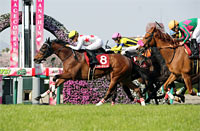 Sankeisports Hai Hanshin Himba Stakes (G2)