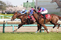 New Zealand Trophy (NHK Mile Cup Trial)  (G2)