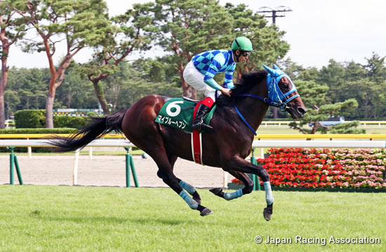 Niigata Jump Stakes (J-G3)