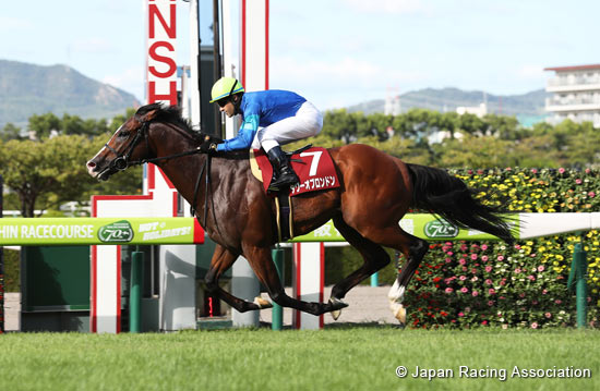 Sankei Sho Centaur Stakes (G2)
