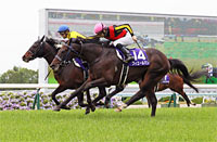 Tenno Sho (Spring) (G1)