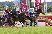 Yushun Himba (Japanese Oaks) (G1)