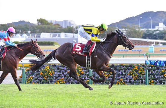 Fuji Stakes (G2)