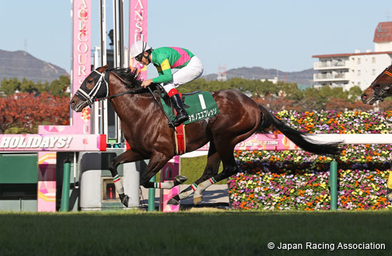 Kyoto Jump Stakes (J-G3)