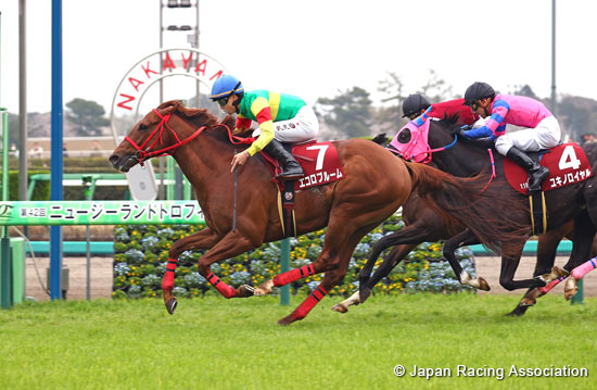 New Zealand Trophy (NHK Mile Cup Trial) (G2)