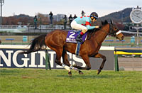 Japan Cup in association with LONGINES (International Invitational) (G1)