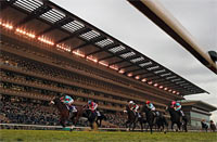 Japan Cup in association with LONGINES (International Invitational) (G1)