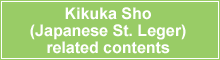 Kikuka Sho (Japanese St. Leger)  related contents