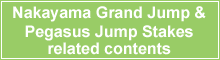 Nakayama Grand Jump & Pegasus Jump Stakes related contents 
