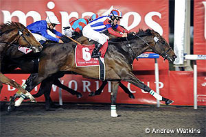 2011 Dubai World Cup