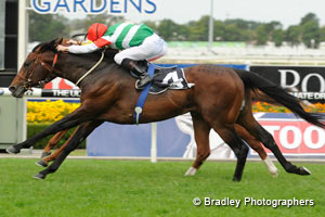 Real Impact won in the George Ryder Stakes