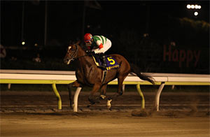 Chrysolite in the 2013 Japan Dirt Derby
