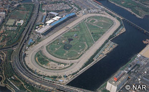 Ohi Racecourse