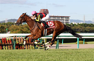 Kansai Telecasting Corp. Sho Rose Stakes (Shuka Sho Trial) (G2)